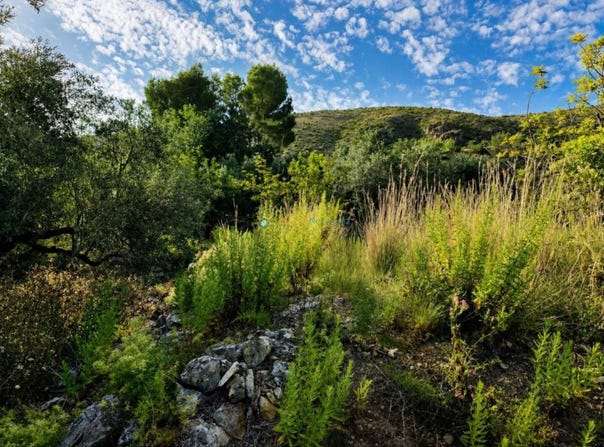 L'Atzúbia, Valencian Community 03786