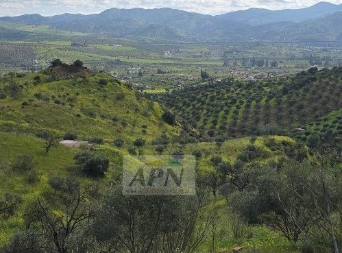 Alora, Andalusia 29500