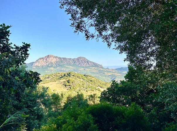Gaucín, Andalusia 29480