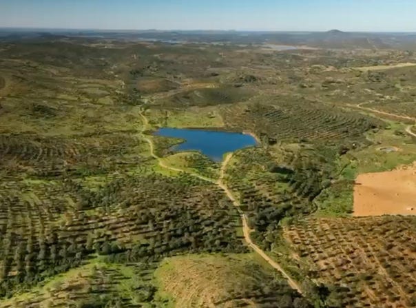 Puebla de Guzman, Andalusia 21550