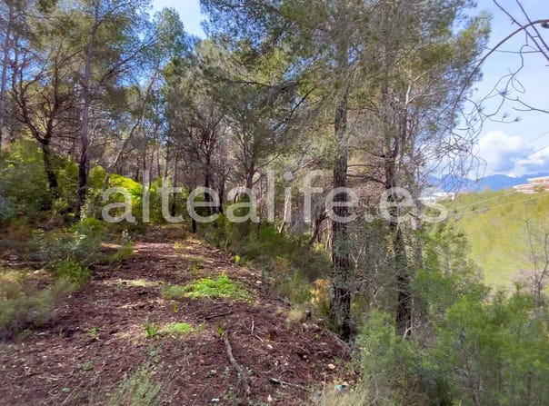 Calle Erica, Altea, Valencian Community 03779