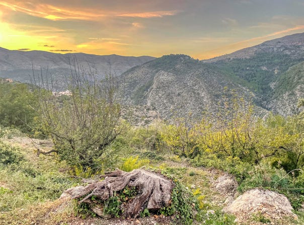 Vall de Laguar (la), Valencian Community 03791