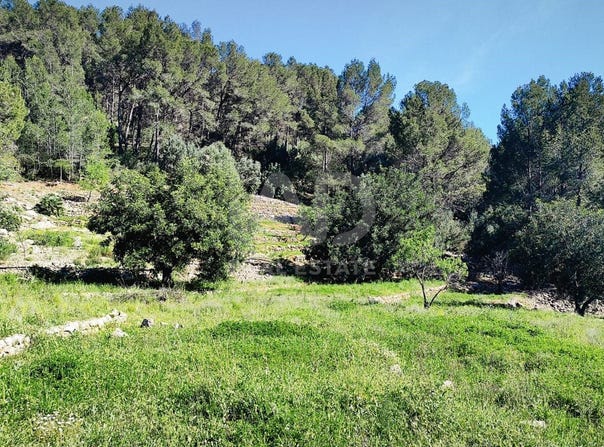 Murla, Valencia 03792