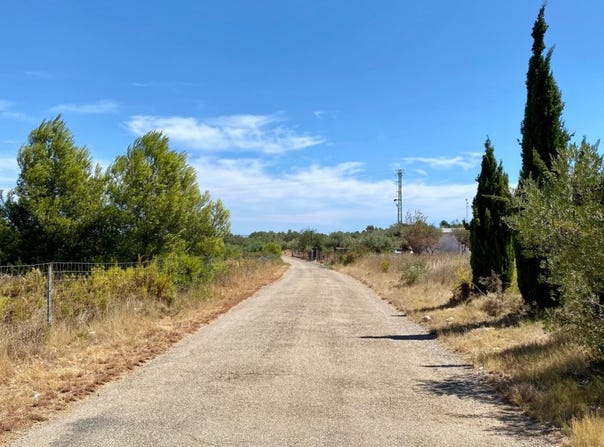 Peñiscola, Valencian Community 12598