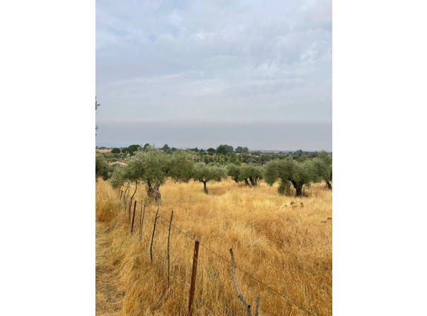 Millanes, Extremadura