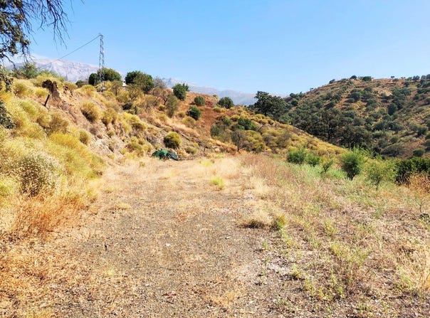Sedella, Andalusia 29715