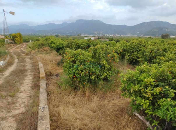Corbera, Valencian Community 46612