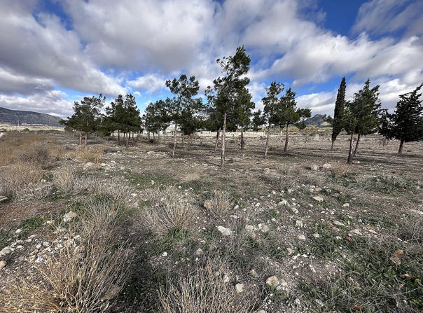 Salinas, Valencian Community 03638