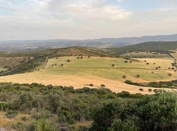 ciudad real, Castilla-La Mancha