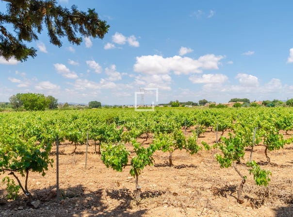 Requena, Valencian Community 46340