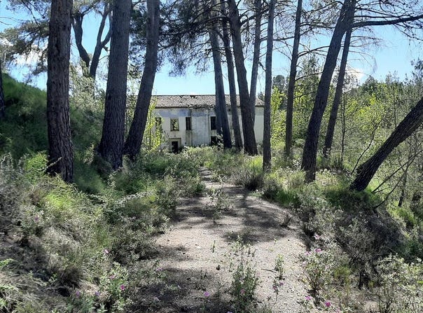 Planes, Valencian Community 03828
