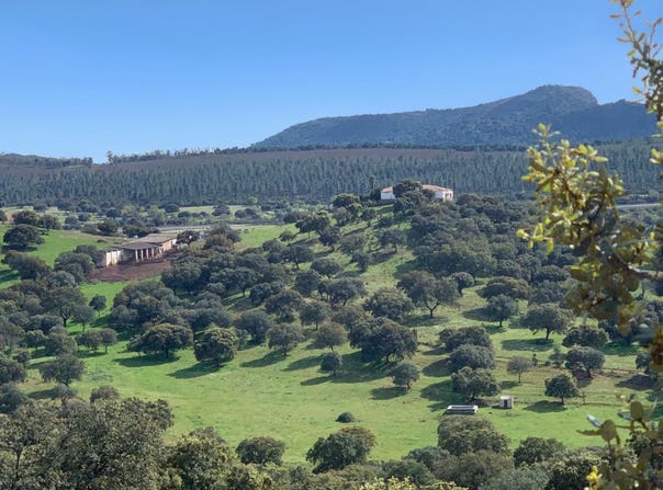 Garbayuela, Extremadura 06690