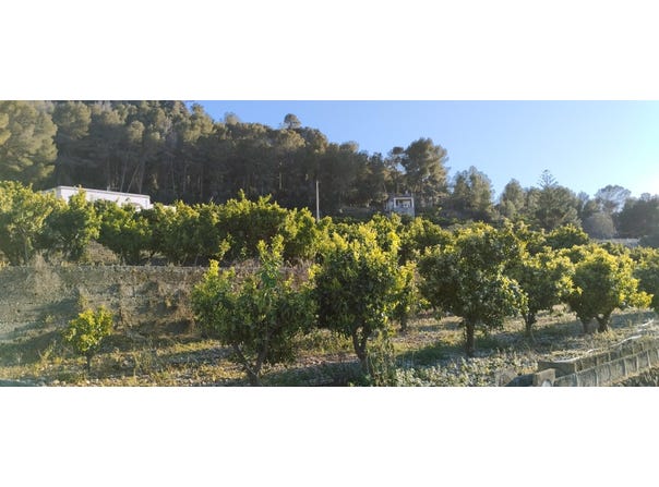 Pego, Valencian Community 03780