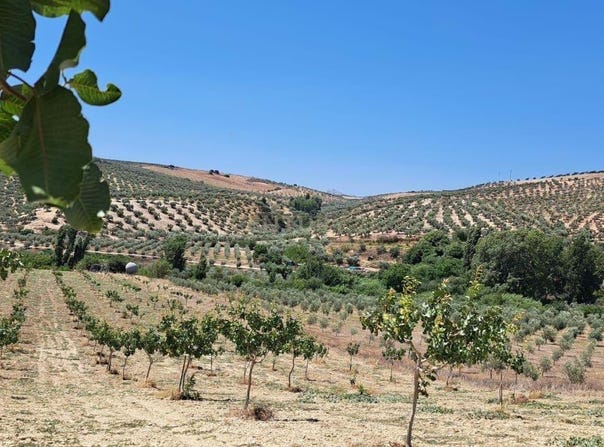 Cañete la Real, Andalusia