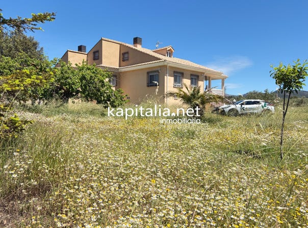 Alcoy, Valencian Community 03802