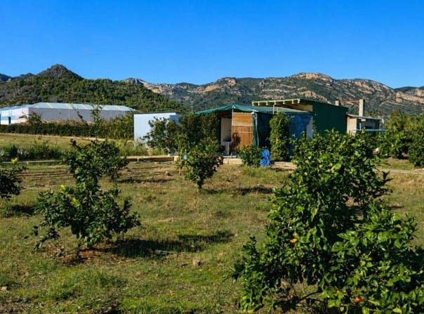 Xeraco, Valencian Community 46770