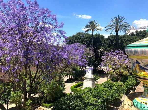 Seville, Andalusia 41001