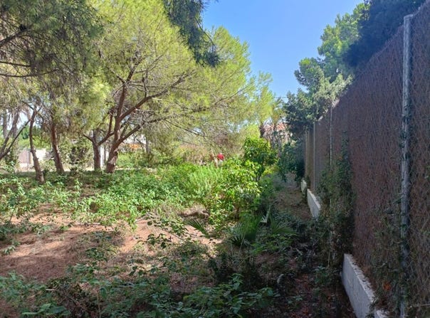 Cabo Roig, Valencian Community 03189