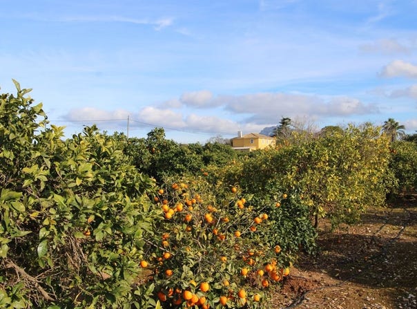 Ondara, Valencian Community 03760