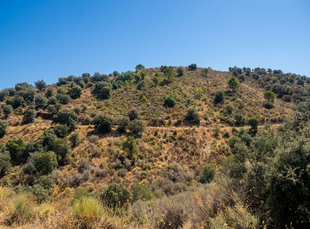 Monda, Andalusia 29110