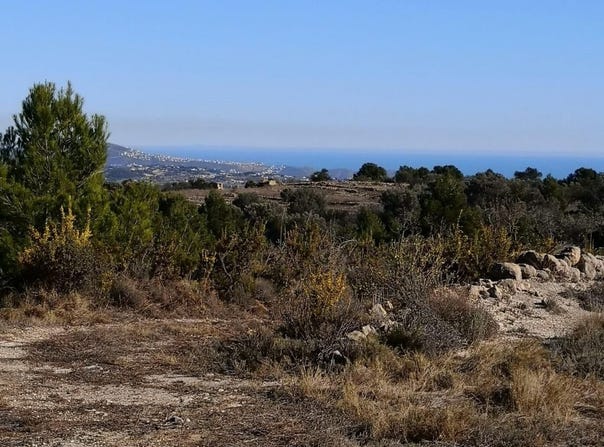 Jalón, Valencian Community 03727