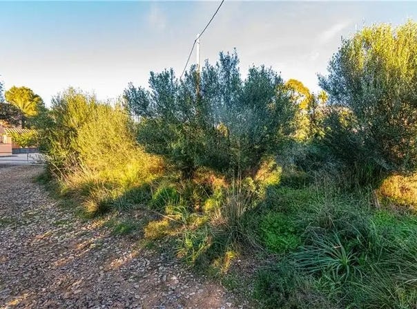 Artà, Balearic Islands 07579