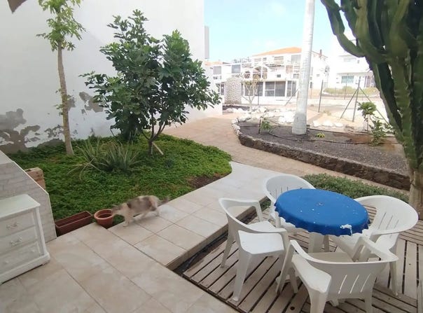 Antigua, Canary Islands 35610