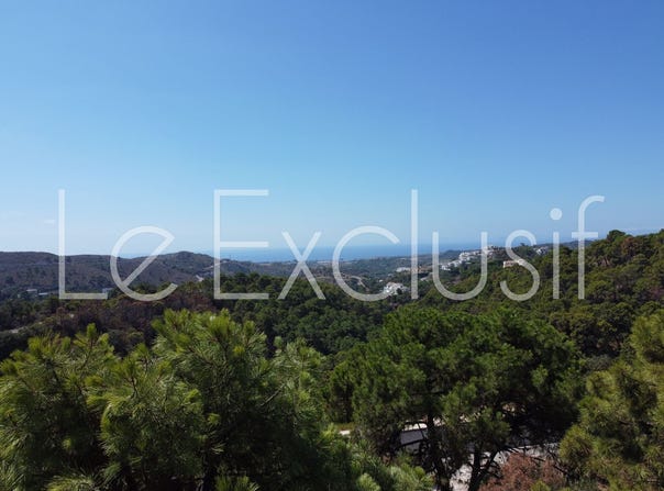 Benahavís, Andalusia 29679