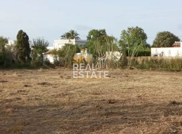 Oliva, Valencian Community 46780
