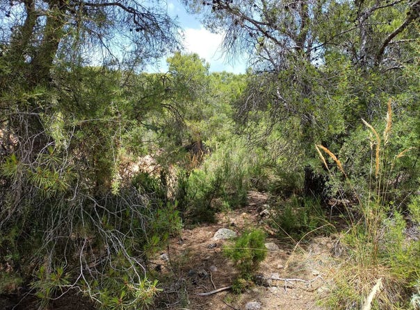 Vilamarxant, Valencian Community