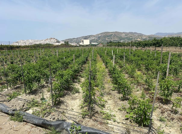 Salobreña, Andalusia