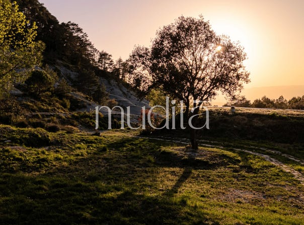 Tavertet, Catalonia 08511