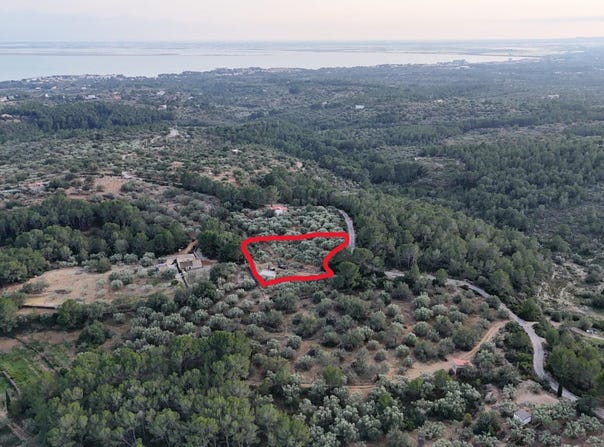 El Perello, Catalonia 43519