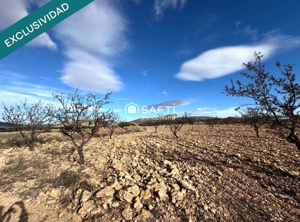 Monovar, Valencian Community 03640