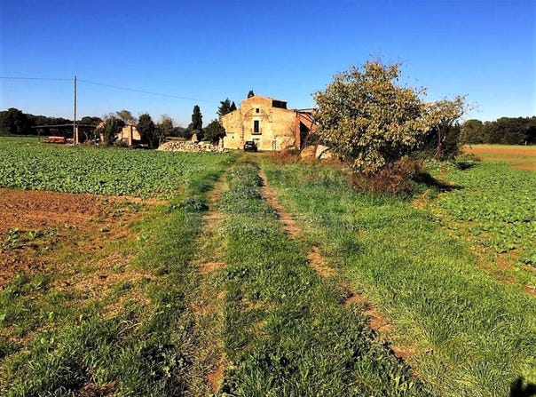 Corça, Catalonia 17121