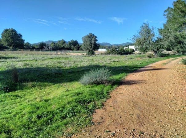 Santa Eulària des Riu, Balearic Islands 07840