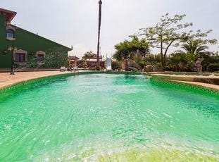 Almoradi, Costa Blanca (alicante)