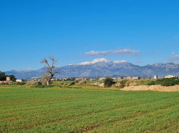 8 Carrer Comerç, Sa Pobla, Balearic Islands 07420