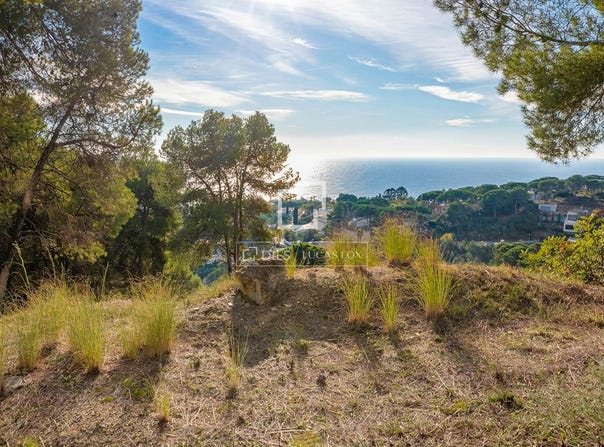 Blanes, Catalonia 17300