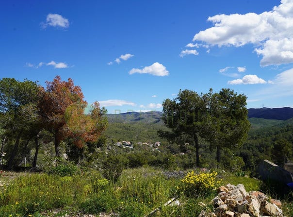 Sant Pere de Ribes, Catalonia 08810