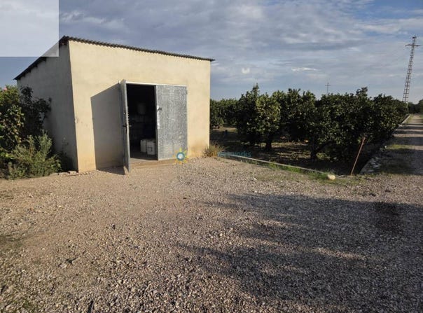Senyera, Valencian Community 46669