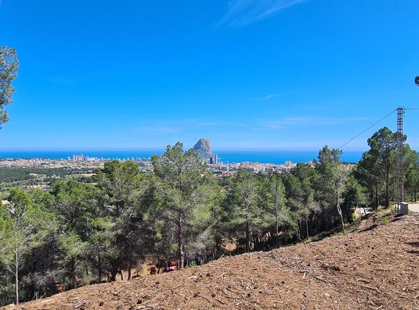 Calpe, Valencian Community 03710