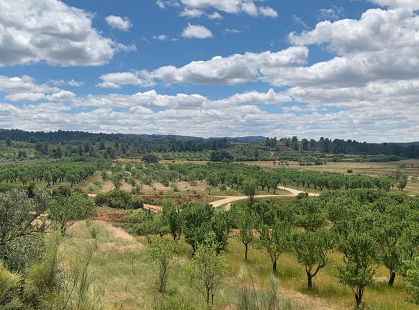 Ayora, Valencian Community 46620