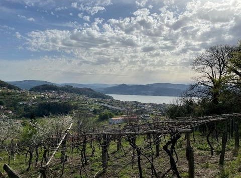 Vilaboa, Pontevedra