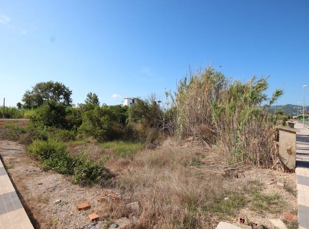 Oliva, Valencian Community 46780