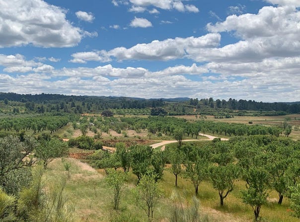 Ayora, Valencian Community 46620