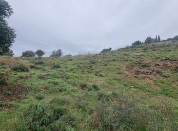 Coin, Malaga 29100