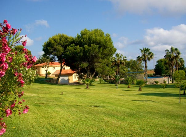 Alcossebre, Valencian Community 12579