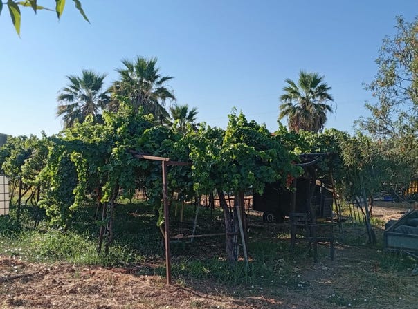 Sevilla, Andalusia 41001