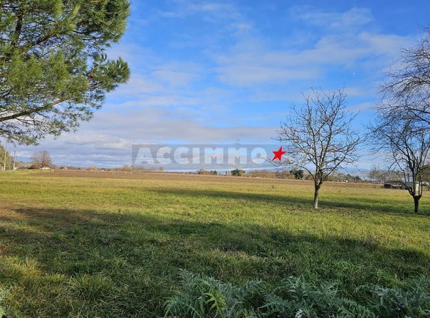 Gaillac, Tarn 81600